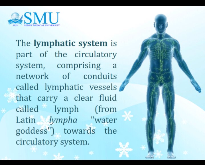 Anatomy of lymphatic system.pptx