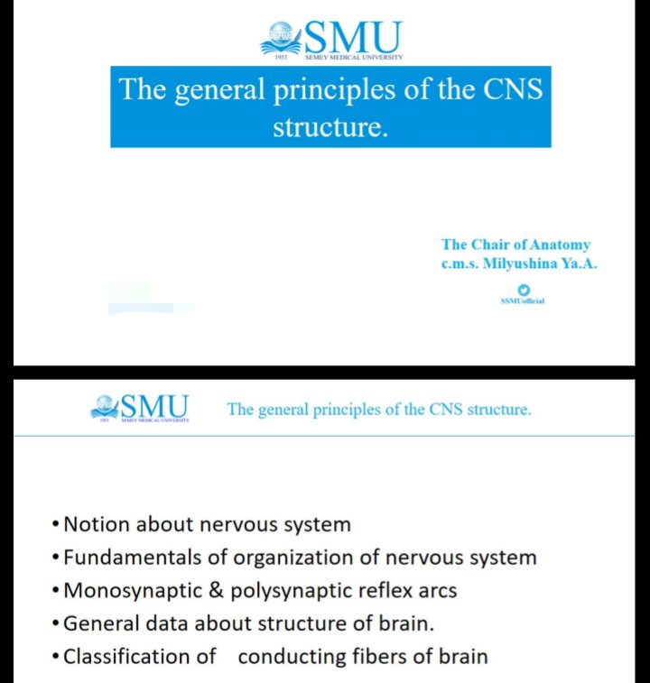 The general principles of the CNS structure.pdf